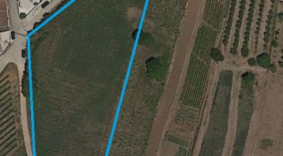 Land in Vilar of 4,720 m²