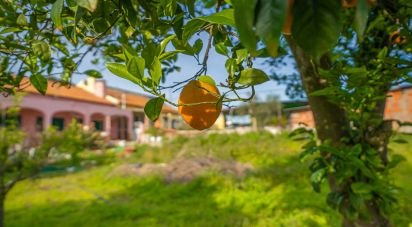 Country home T2 in Setúbal (São Sebastião) of 100 m²