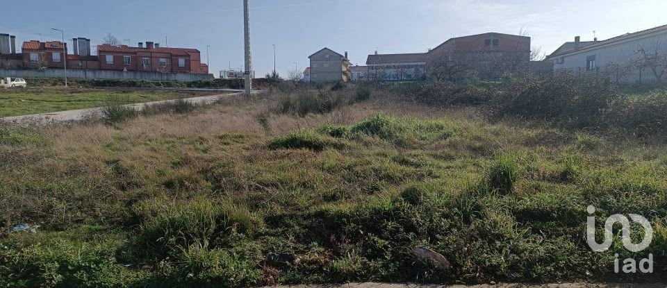 Lodge T5 in Vimioso of 143 m²