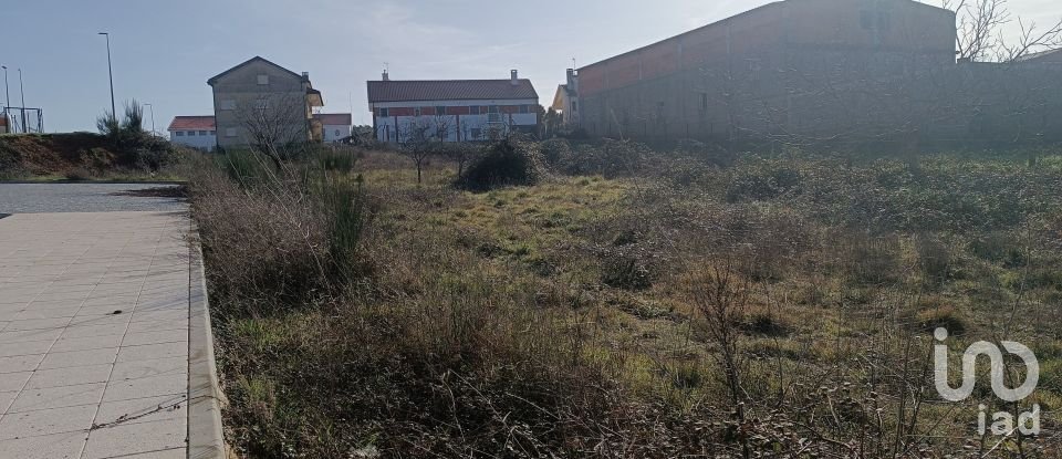 Lodge T5 in Vimioso of 143 m²