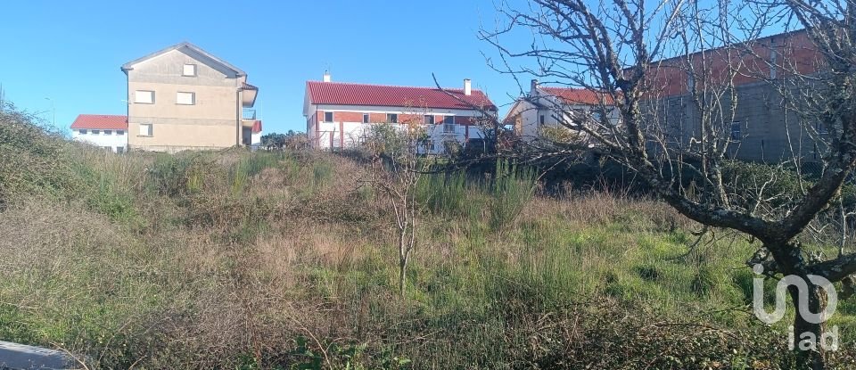 Lodge T5 in Vimioso of 143 m²