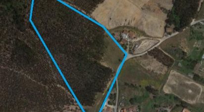 Land in Vilar of 11,520 m²