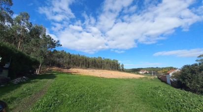 Land in Vilar of 11,520 m²