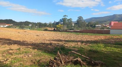 Land in Vilar of 11,520 m²