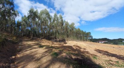 Land in Vilar of 11,520 m²