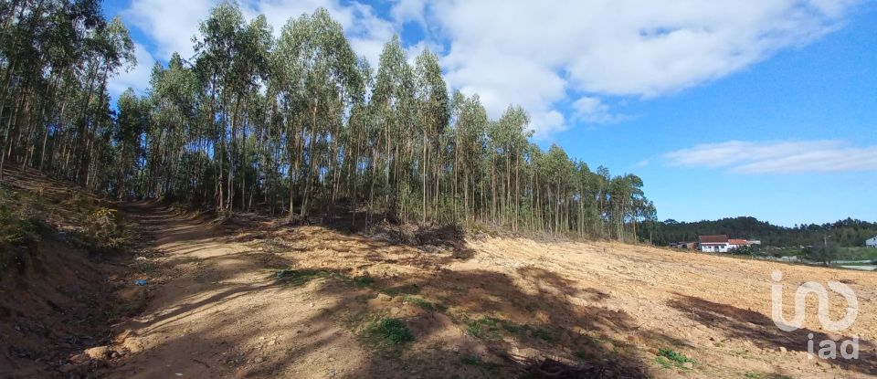 Land in Vilar of 11,520 m²