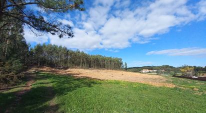Land in Vilar of 11,520 m²