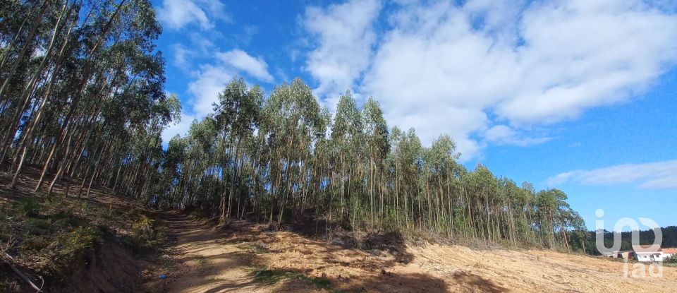 Land in Vilar of 11,520 m²