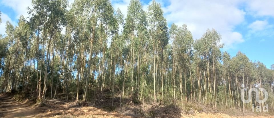 Land in Vilar of 11,520 m²