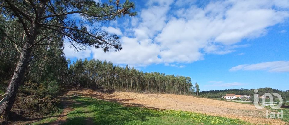 Land in Vilar of 11,520 m²