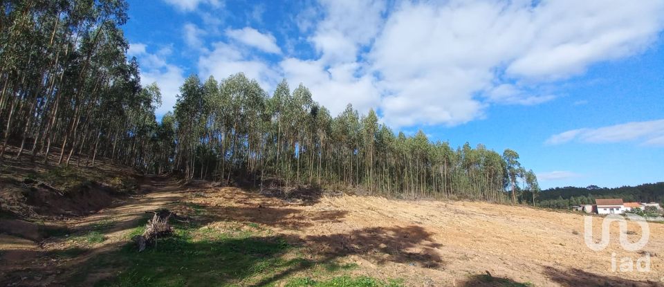 Land in Vilar of 11,520 m²