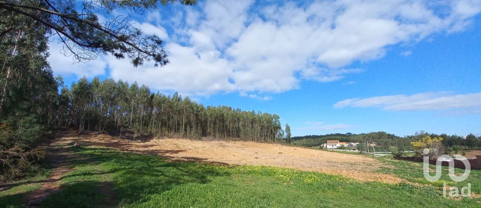 Land in Vilar of 11,520 m²