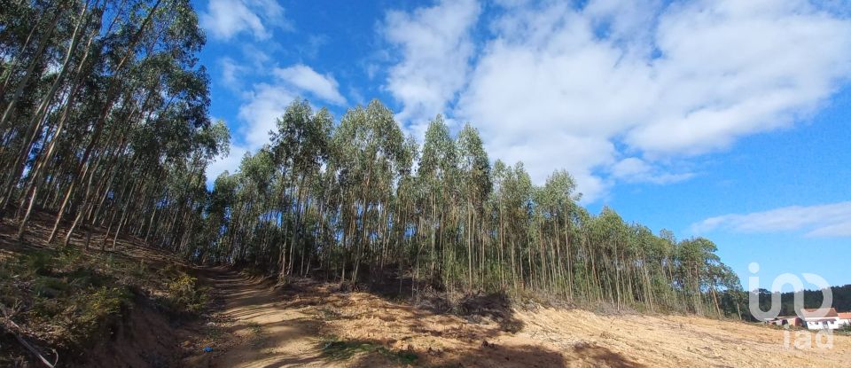 Land in Vilar of 11,520 m²