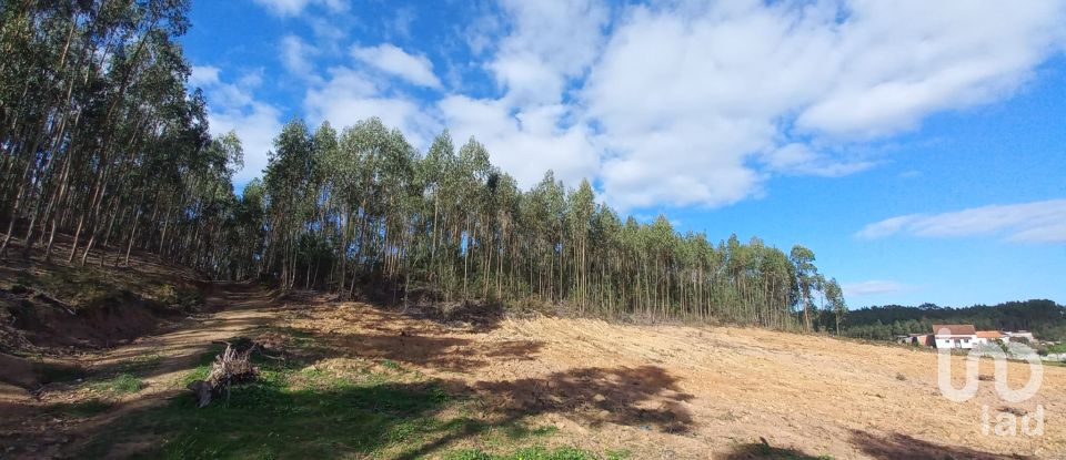 Land in Vilar of 11,520 m²