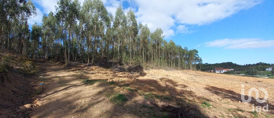 Land in Vilar of 11,520 m²