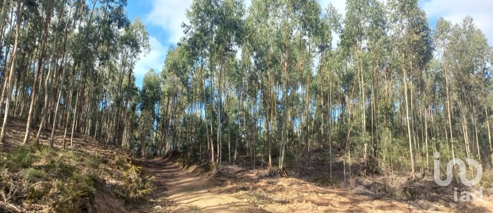 Land in Vilar of 11,520 m²