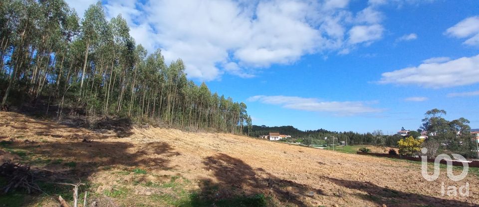 Land in Vilar of 11,520 m²