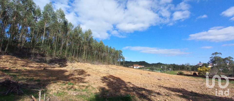 Land in Vilar of 11,520 m²