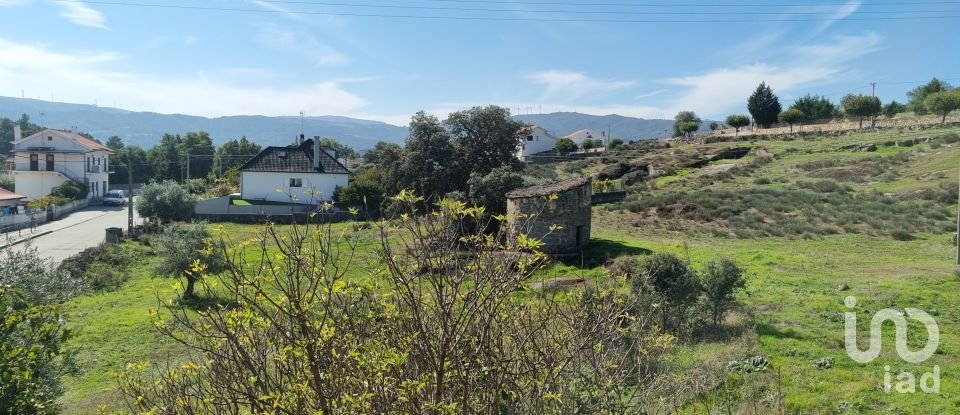Traditional house T0 in Lajeosa do Mondego of 388 m²