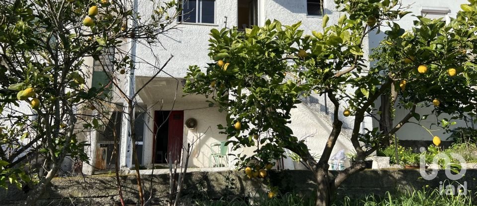 Casa T3 em São João da Boa Vista de 124 m²