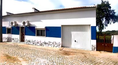 Village house T3 in Benavila e Valongo of 67 m²