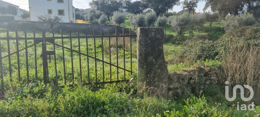 Terreno em Tolosa de