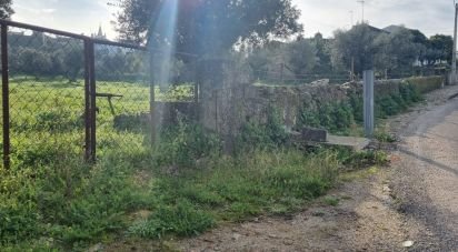 Terrain agricole à Tolosa de 8 750 m²