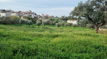 Agricultural land in Tolosa of 8,750 m²
