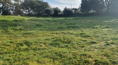 Terrain agricole à Tolosa de 8 750 m²