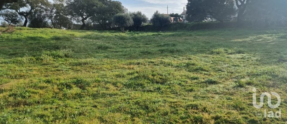 Farm land in Tolosa of 8,750 m²