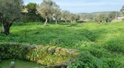 Terrain agricole à Tolosa de 8 750 m²