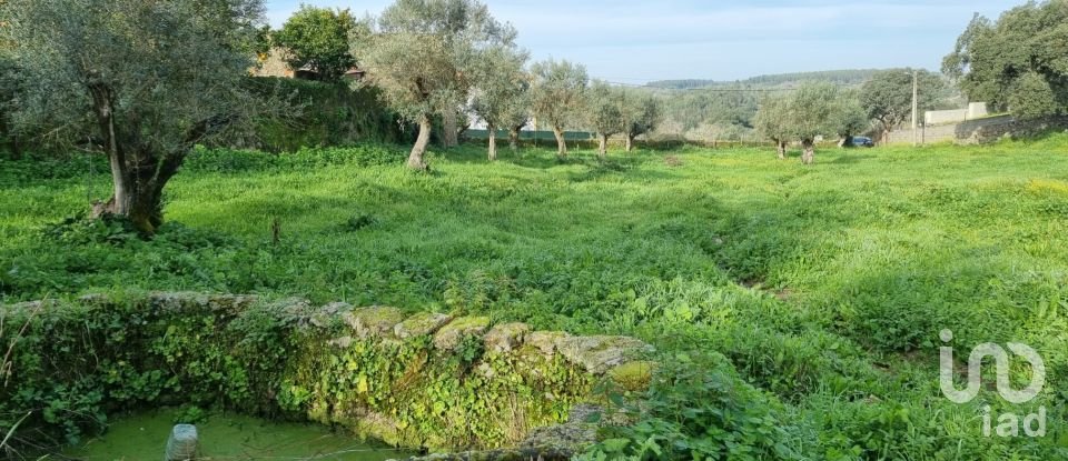 Terrain agricole à Tolosa de 8 750 m²
