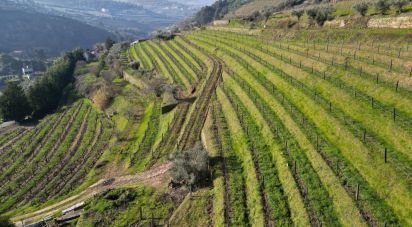 Farm T0 in Cambres of 104,767 m²