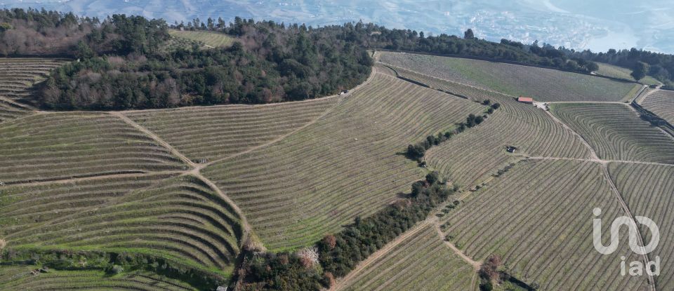 Farm T0 in Mesão Frio (Santo André) of 300 m²