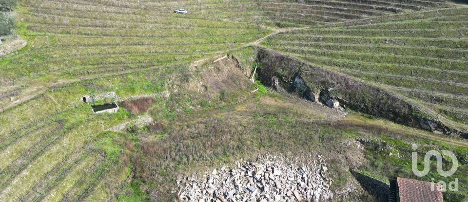 Farm T0 in Mesão Frio (Santo André) of 300 m²