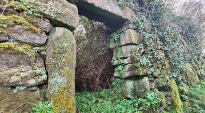 Village house T4 in Covas of 241 m²