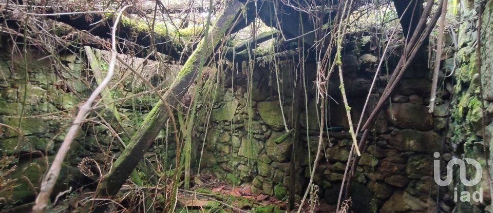 Maison de village T4 à Covas de 241 m²