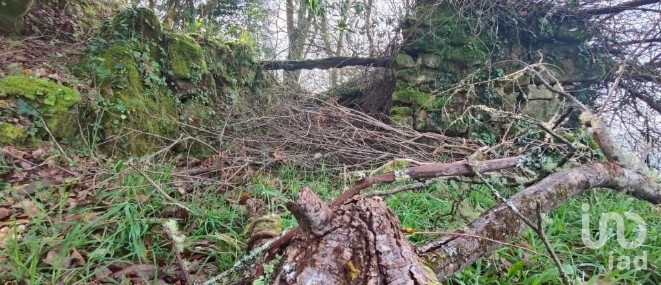 Maison de village T4 à Covas de 241 m²