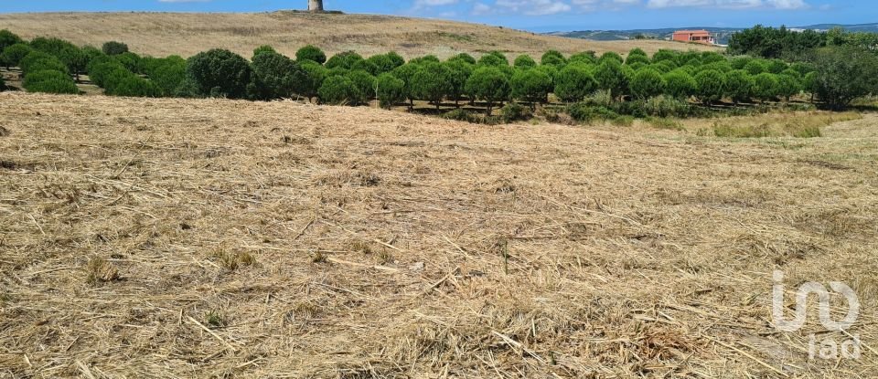 Terreno em Gaeiras de 4 773 m²