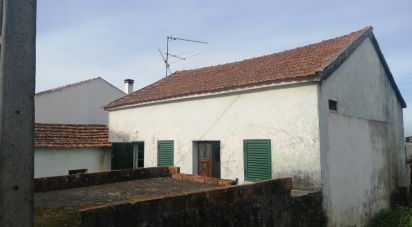 Maison de village T2 à Pedrógão Pequeno de 219 m²