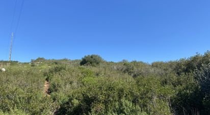 Terrain à Alcabideche de 8 920 m²