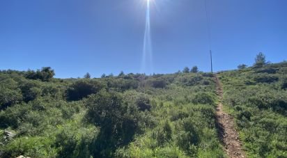 Land in Alcabideche of 8,920 m²