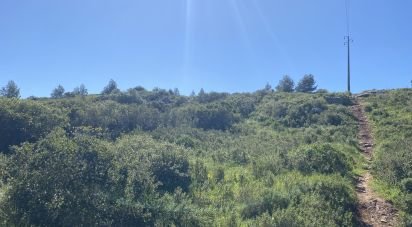 Land in Alcabideche of 8,920 m²