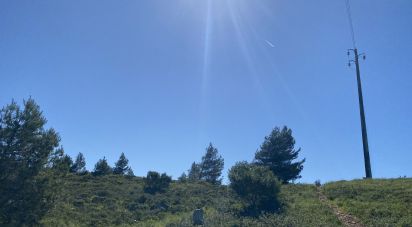 Land in Alcabideche of 8,920 m²