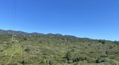 Terrain à Alcabideche de 8 920 m²