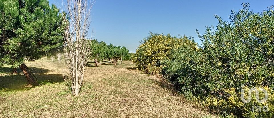 Terreno em Vau de 1 014 m²