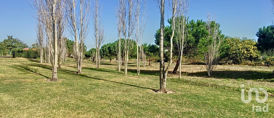 Terreno em Vau de 1 014 m²