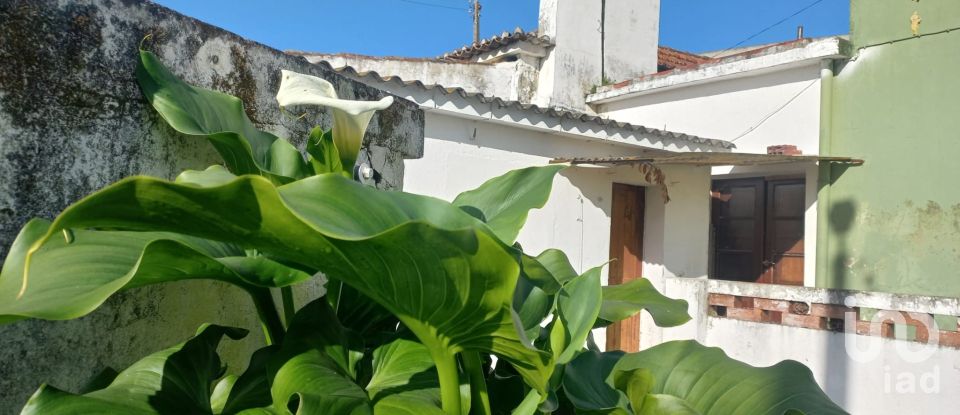 Traditional house T3 in Ventosa of 115 m²