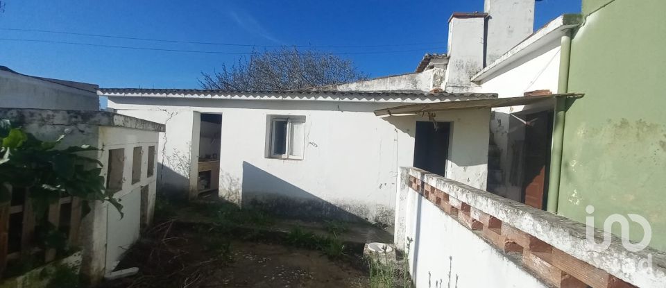 Traditional house T3 in Ventosa of 115 m²