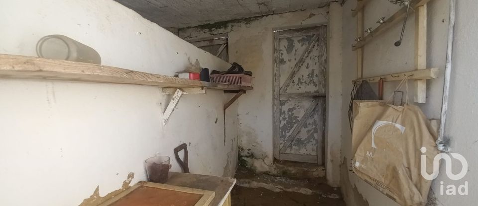 Traditional house T3 in Ventosa of 115 m²